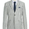 Black Striped Linen Blend Slim Fit 2 Button Blazer