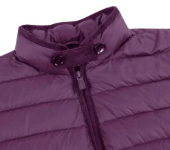 Berry Regular Classic Fit Goose Down Vest -Sapphire Dress Shop 831 7 3
