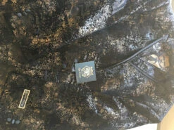 Empire Collection - Regular Fit Black And Gold With Fancy Metallic Pattern Sports Coat -Sapphire Dress Shop IMG 0578 1