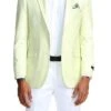 Slim Fit Blazer 2 Button In Solid Mint 1 Slim Fit Blazer 2 Button In Solid Mint -Sapphire Dress Shop MJ284S 01 29705.1551125974