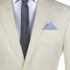 Ivory Tone On Tone Paisley Pattern Slim Fit Men's 2 Piece Suit 2 Button -Sapphire Dress Shop S2F 1 IVORY 1