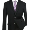 Regular Fit Blazer 2 Button In Black